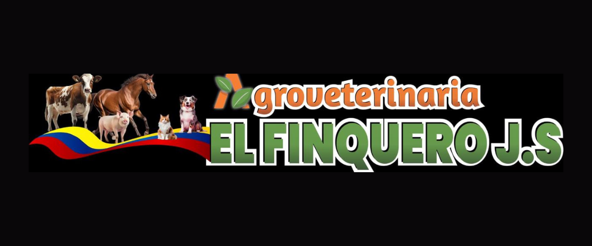 Diseño sin título (1)