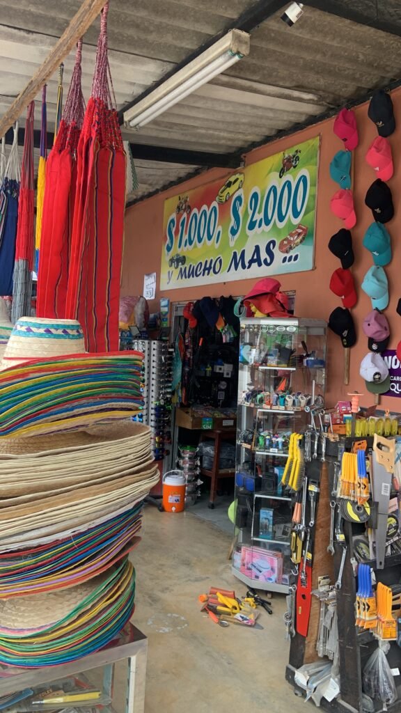 239AF075-2E72-4342-8F70-76A041E33964