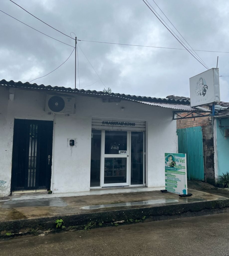 WhatsApp Image 2025-11-26 at 2.52.56 PM