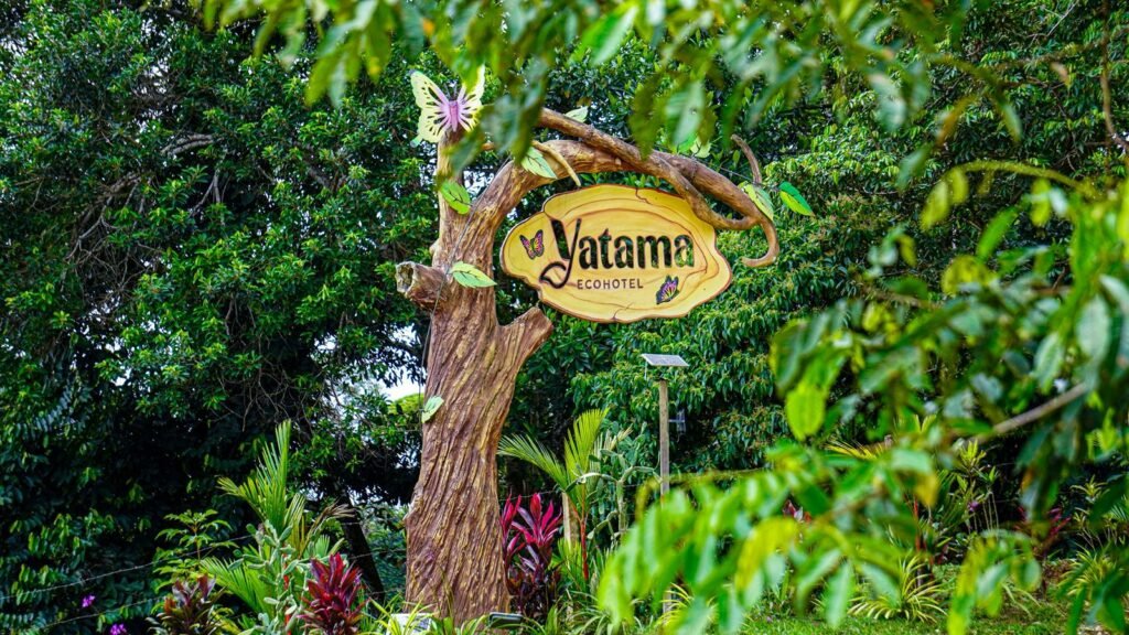 WhatsApp Image 2026-01-14 at 10.37.00 AM